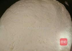 茴香肉丁发面饼的做法图解1