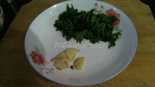 香菜切断，姜切片