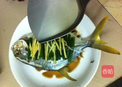 清蒸金枪鱼的做法图解7