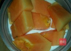 水果酸奶酪的做法图解6