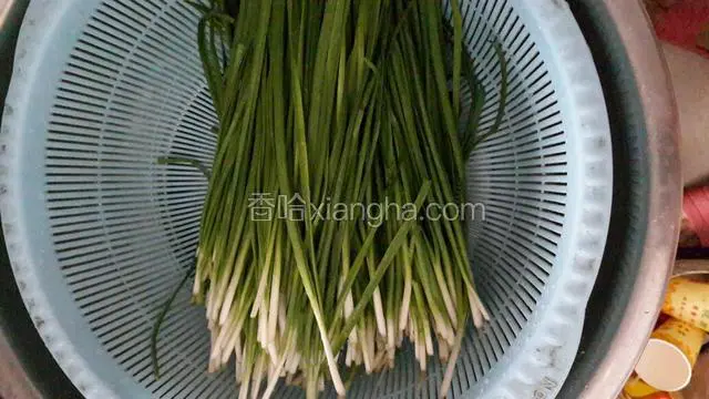 韭菜洗净
