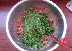 牛肉茴香餡餃子的做法圖解4