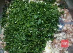 饺子的做法图解8