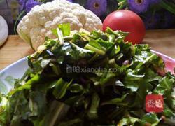 凉拌蒲公英的做法图解6