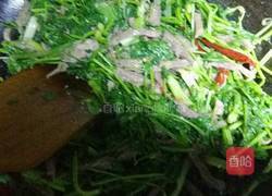 香辣肉丝的做法图解6