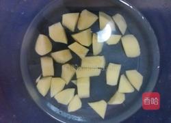 土豆炖鸡的做法图解5