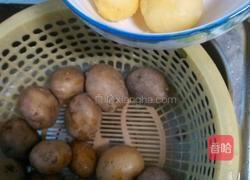 蒜香土豆饼的做法图解2