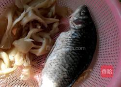 草鱼平菇汤的做法图解1