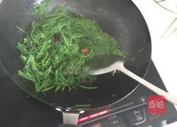 小炒瓜尖的做法图解3