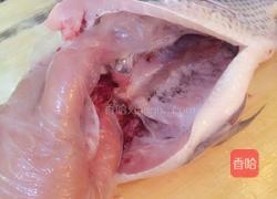 酱汁吴郭鱼的做法图解1