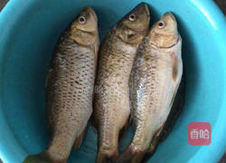 红烧鲫鱼的做法图解1