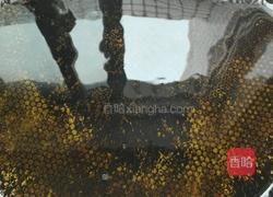 洋葱炒茶树菇的做法图解6