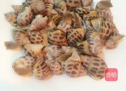 爆炒花螺的做法图解3