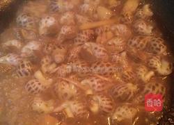爆炒花螺的做法图解6