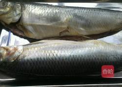 香煎青鱼的做法图解1