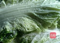 腌制辣白菜的做法图解5