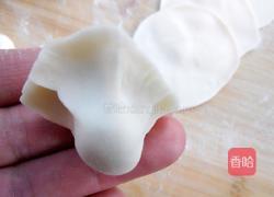 胡萝卜大葱羊肉水饺的做法图解14