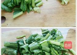 蒜蓉芥菜的做法图解5