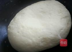 野菜饺子的做法图解1