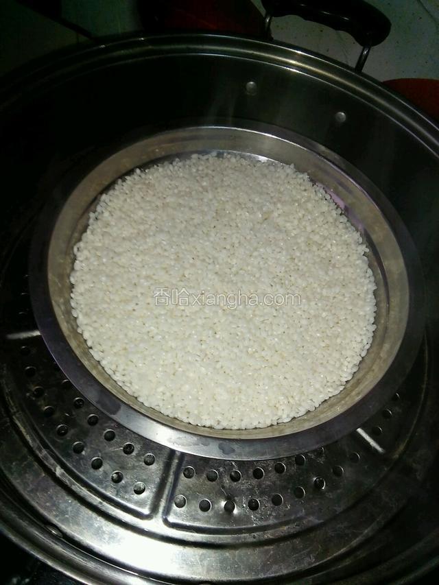 两天后，米粒已变得饱满，取三分之二的米放入盆中加入少许水坐入锅中，大火蒸20分钟。