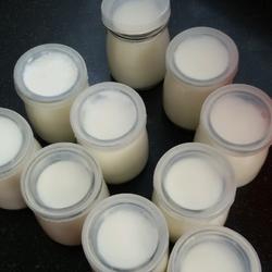 自制酸奶的做法[图]