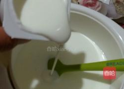 自制酸奶的做法图解3