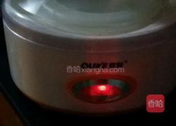 自制酸奶的做法图解9