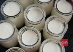 自制酸奶的做法图解16