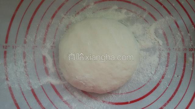 然后放入面板上揉搓圆