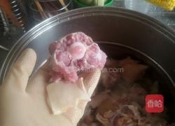 莲藕炖牛尾的做法图解1