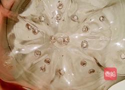 自发豆芽的做法图解3