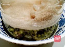 自发豆芽的做法图解4