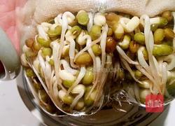 自发豆芽的做法图解6