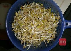 清炒绿豆芽的做法图解1