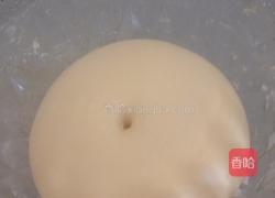 葡萄干吐司(中种)的做法图解3