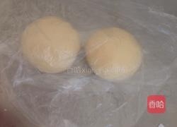 葡萄干吐司(中种)的做法图解4