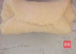 葡萄干吐司(中种)的做法图解5