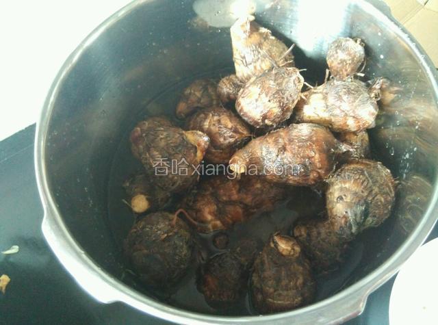芋子用高压锅压烂。