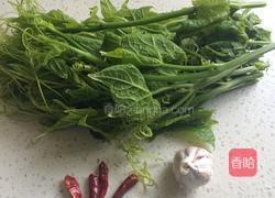 素炒瓜尖的做法图解1