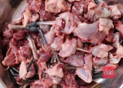 清补凉炖鸽子汤的做法图解1