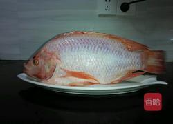 清蒸彩红雕的做法图解1