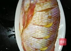 清蒸彩红雕的做法图解3