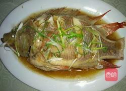 清蒸彩红雕的做法图解5