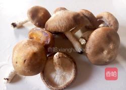 土豆炖鸡肉的做法图解5