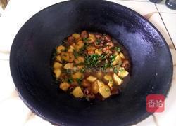 土豆炖鸡肉的做法图解8