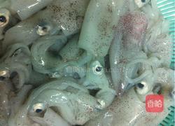 白灼鲜鱿鱼的做法图解1