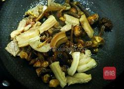 姬松茸炒肉的做法图解14