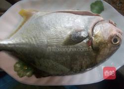 清蒸金鲳鱼的做法图解1