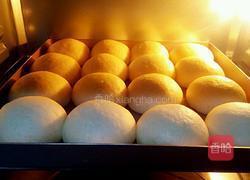 奶香豆沙小餐包的做法图解11