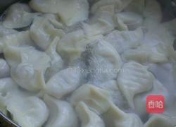 苦瓜水饺的做法图解10